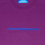 Core Logo Oversized Purple Tee